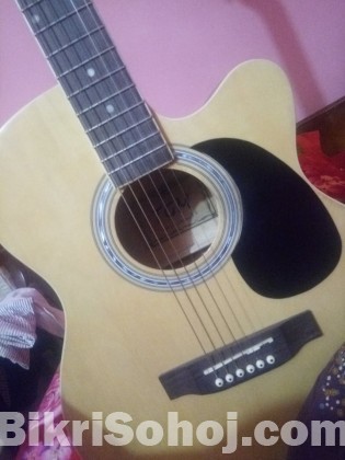 Acoustic Guitar